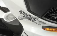 Фото Stels Arrow 100 Benelli Arrow 100 Benelli №10